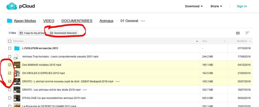 pCloud - Select&Download